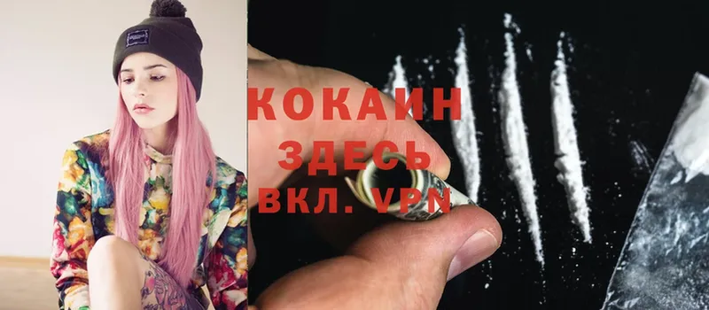 где купить наркоту  Магас  Кокаин Fish Scale 