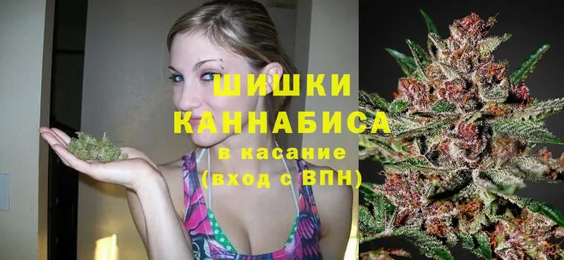 Бошки Шишки VHQ  Магас 